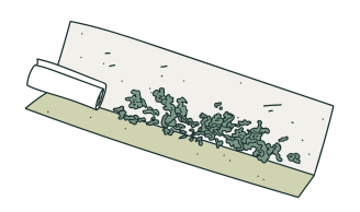 Can Rolling Papers go Bad?